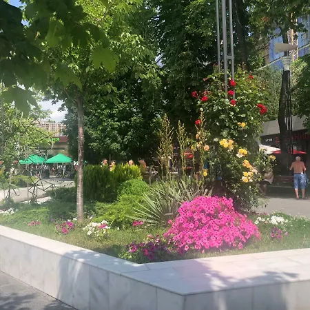 Siesta Arkadia * Odessa